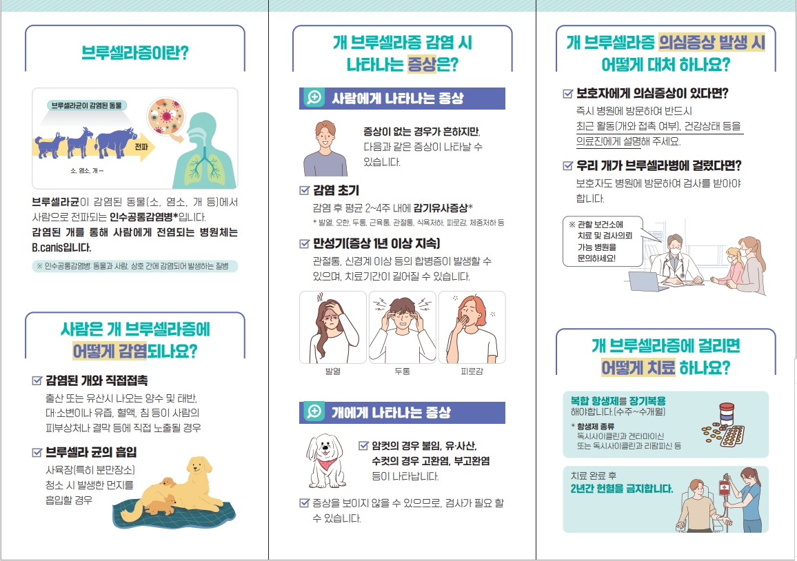 개 브루셀라증 집단발생 알림 및 예방수칙 안내 3