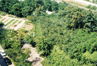 느티울근린공원(오금동) 사진