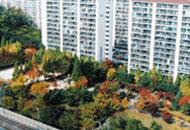 둔전공원(수리동) 사진