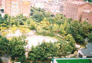 재궁공원(재궁동) 사진